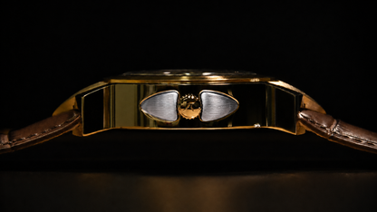 Kronenschutz– The RICT Watch