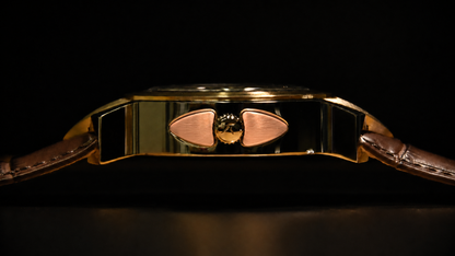 Kronenschutz– The RICT Watch