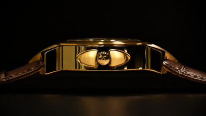 Kronenschutz– The RICT Watch